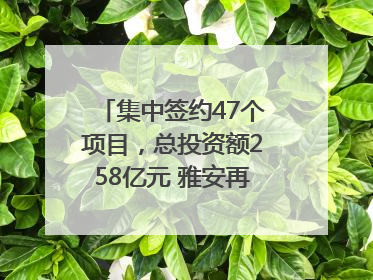 集中签约47个项目，总投资额258亿元 雅安再添发展“新引擎”｜数读西投